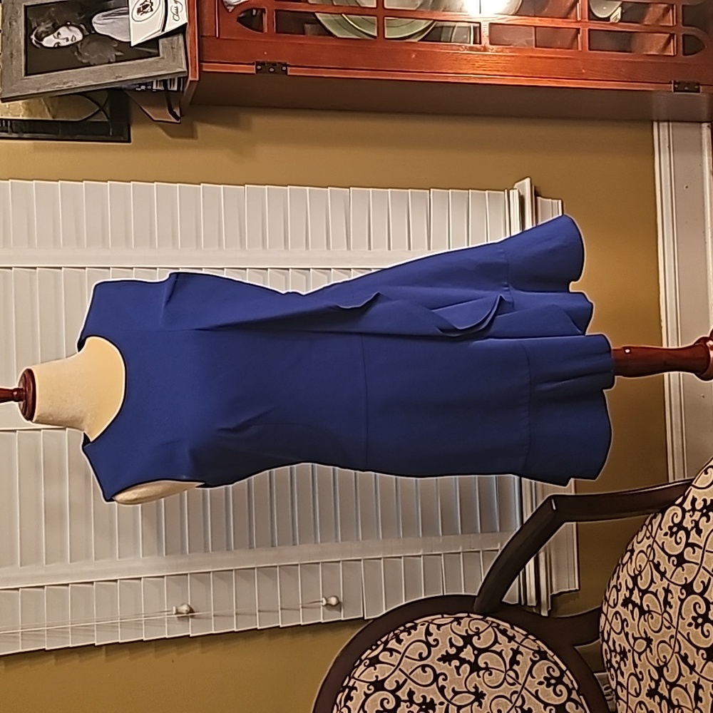 Beautiful Royal Blue Betsey Johnson Knit Ruffle Dress
